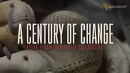 A Century of Change | Negro League Centennial Celebration