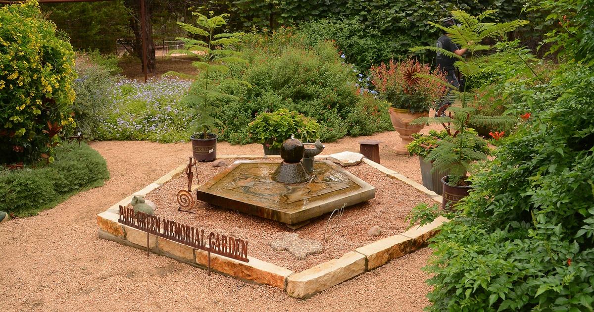 Central texas gardener | butterfly, bee, and bird habitat | season 26