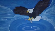 In The Shadow of the Eagle