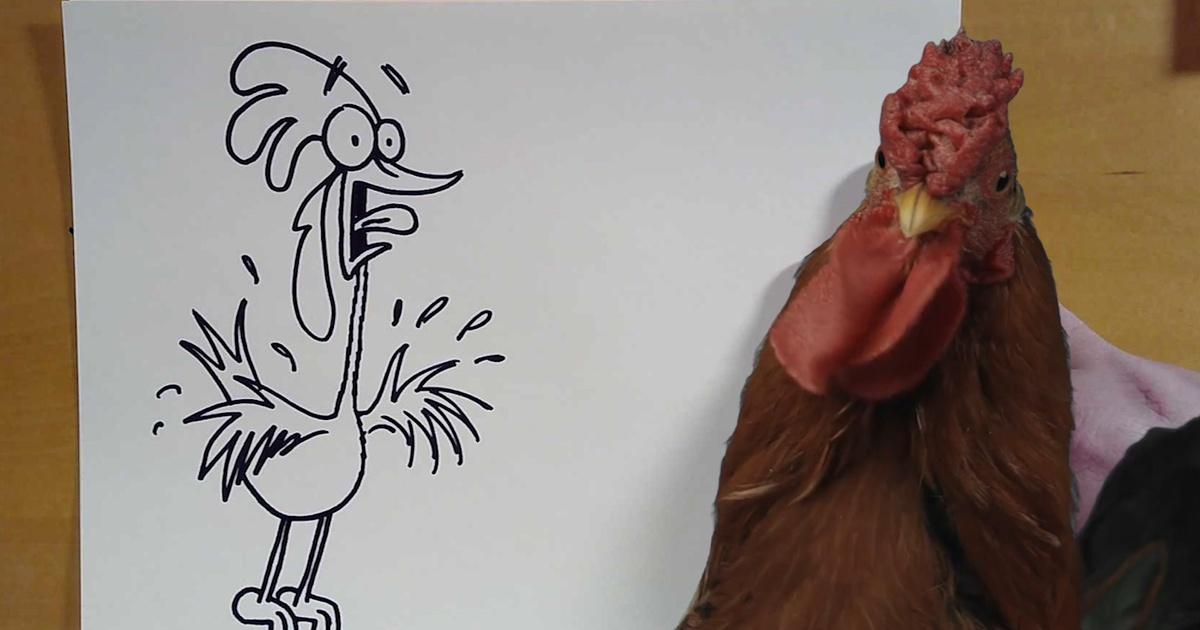 Cartoon Academy | Down on the Farm: Rooster on the Roof | Season 1 | Episode 5 | PBS Cartoon Academy | Down on the Farm: Rooster on the Roof | Season 1 | Episode 5 | PBS