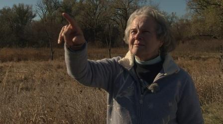 Video thumbnail: Nebraska Stories 12: 1212 The Grand Dame of Raptor Rehab & More