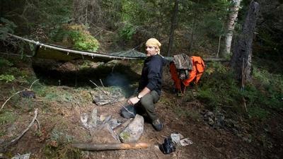 Canadian Boreal Forest Part 1