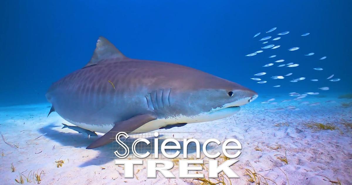 Photo: PBS Conservation Status and Scientific Context