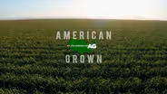 American Grown: My Job Depends on Ag | Garlic