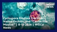Southwest Florida In Focus | Episode 348| August 13th, 2026