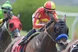 Racehorse deaths draw scrutiny of industry safety practices