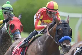 Racehorse deaths draw scrutiny of industry safety practices