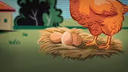 How the Egg Came First