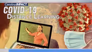 Distance Learning During the Coronavirus