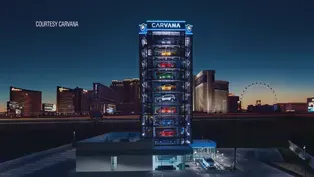 140-Foot Proposed Carvana Auto Dispenser Poses Risk to Birds