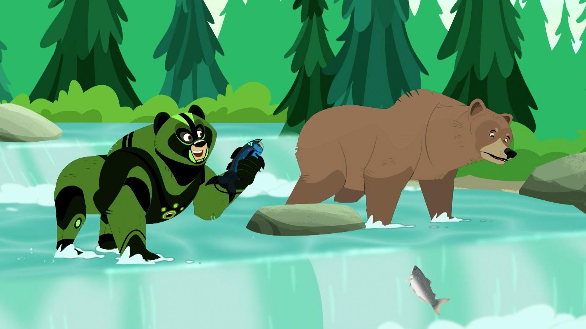 Wild Kratts Grizzly Bear | atelier-yuwa.ciao.jp