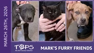 3/26/2026 | Blinx, Mac and Cheese  | Mark's Furry Friends