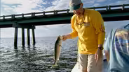Summer Stripers