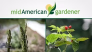 Mid-American Gardener with Dianne Noland August 17, 2017