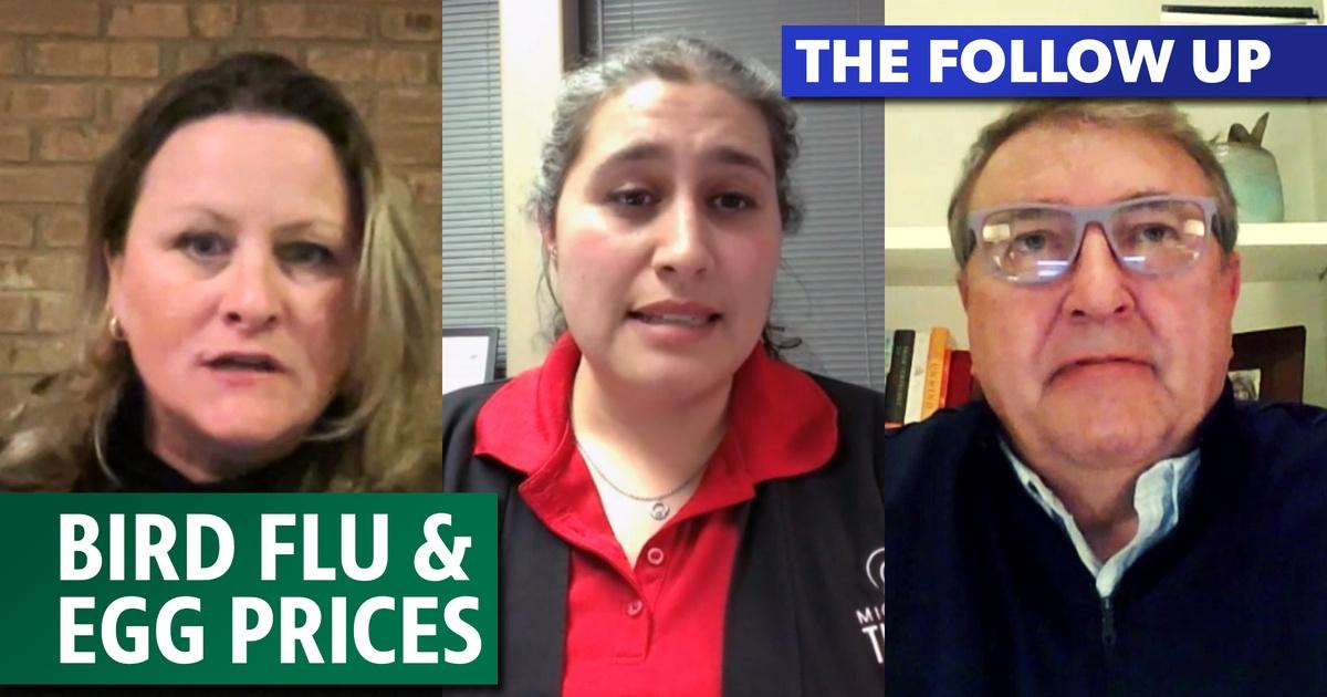 The Follow Up | Bird Flu and Egg Prices | Season 8 | Episode 18 | PBS