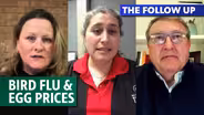 Bird Flu and Egg Prices