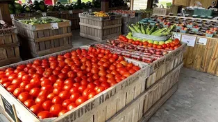 Willie’s Roadside Market