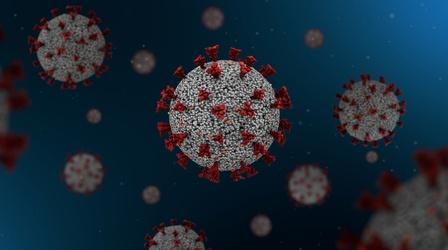 Video thumbnail: QED With Dr. B How Viruses Work