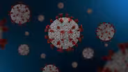 How Viruses Work