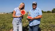 Is Your Melon Ripe Enough To Pick?