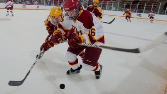 Concussions And Female Athletes