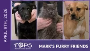 4/9/2026 | Captain, Geronimo and Luigi | Mark's Furry Friends