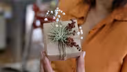 Gift Wrapping with Foraged and Live Plants