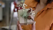 Gift Wrapping with Foraged and Live Plants