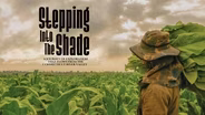 Stepping Into the Shade
