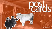 Lac qui Parle County Fair, Animated Family Story