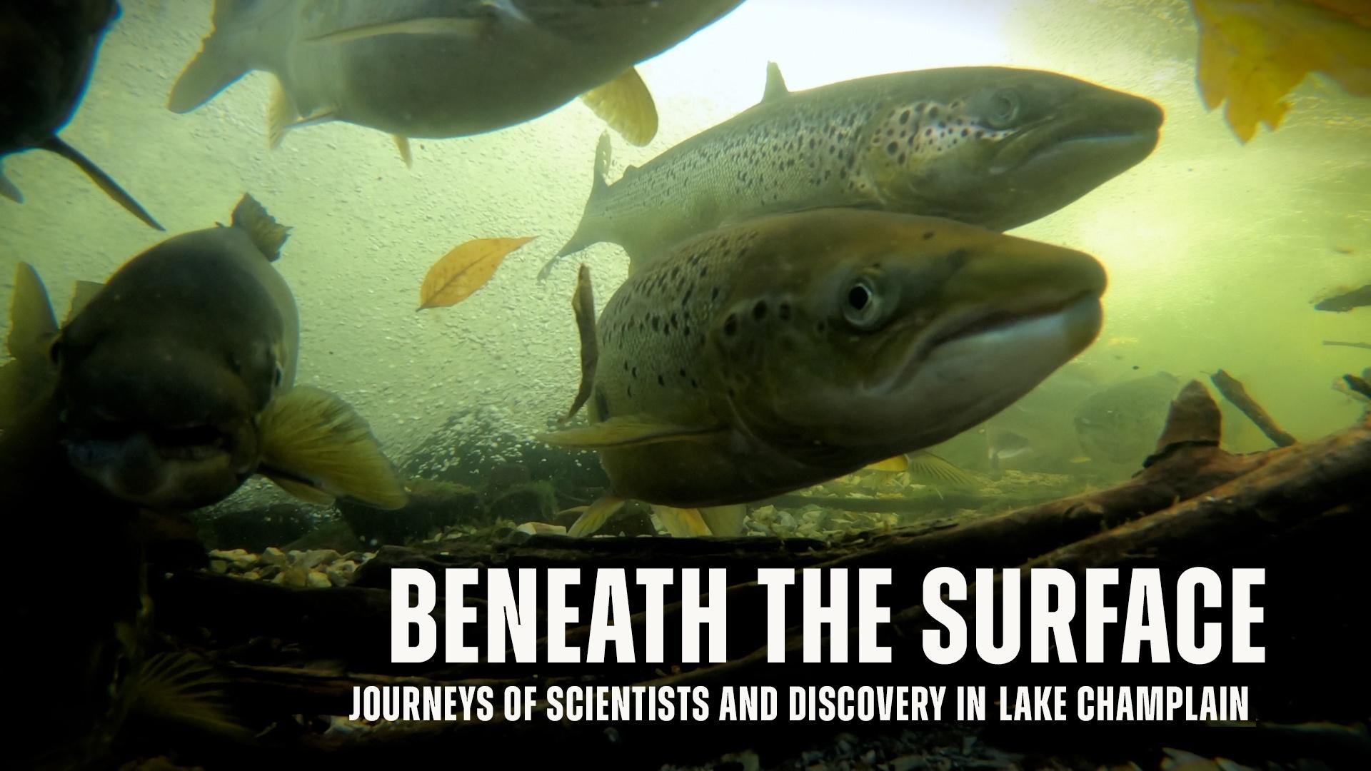 Follow the personal and professional journeys of scientists working to protect Lake Champlain.