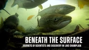 Beneath The Surface: Journeys of Scientists and Discovery in Lake Champlain