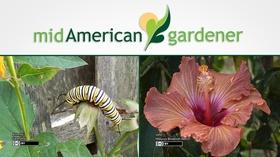 Video thumbnail: Mid-American Gardener October 25, 2018 - Mid-American Gardener