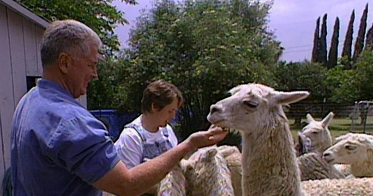 Visiting with Huell Howser | Alpacas | Season 7 | PBS