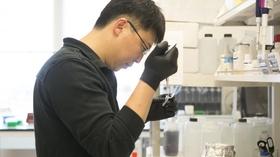 Video thumbnail: The Gene Part 2: Revolution in the Treatment of Disease