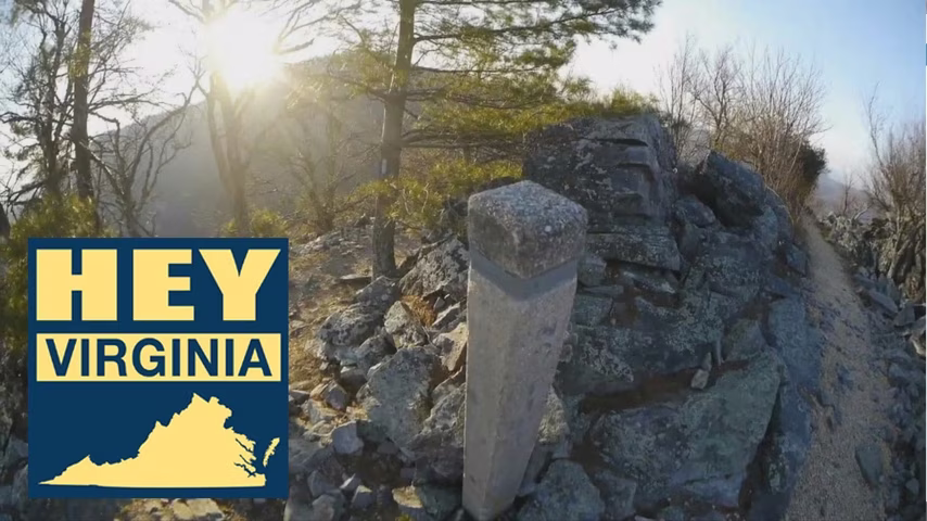 Hey Virginia