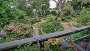 Evolution of a Garden