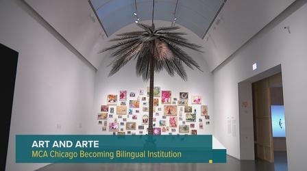 Video thumbnail: Chicago Tonight: Latino Voices Chicago Art Museum Institutes Bilingual Features