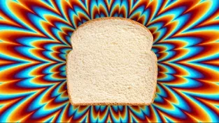 How Moldy Bread Can Change Your Brain