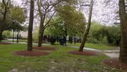 New 'microforests' grow in Elizabeth