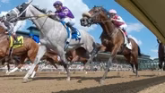 Fewer Horse Racing Deaths