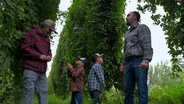 Washington Hops preview