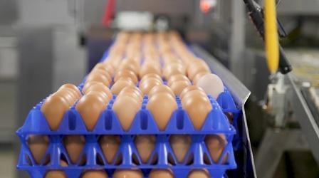 Video thumbnail: PBS NewsHour What makes eggs 'organic'? It depends on who you ask
