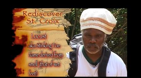 Video thumbnail: Rediscover St. Croix Rediscover St. Croix:  Maroon Hike