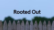 Rooted Out | Preview