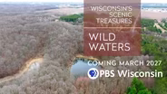 Wisconsin Has 7 Salamander Species — Did You Know?