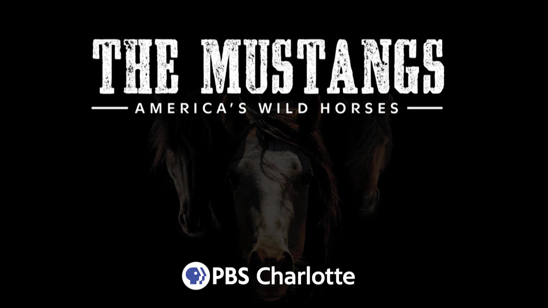 The wild horse, known as the mustang, is the enduring icon of America.