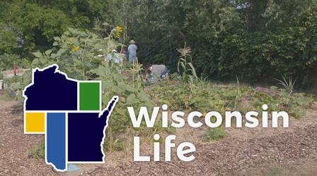 Video thumbnail: Wisconsin Life Native Wellness Garden