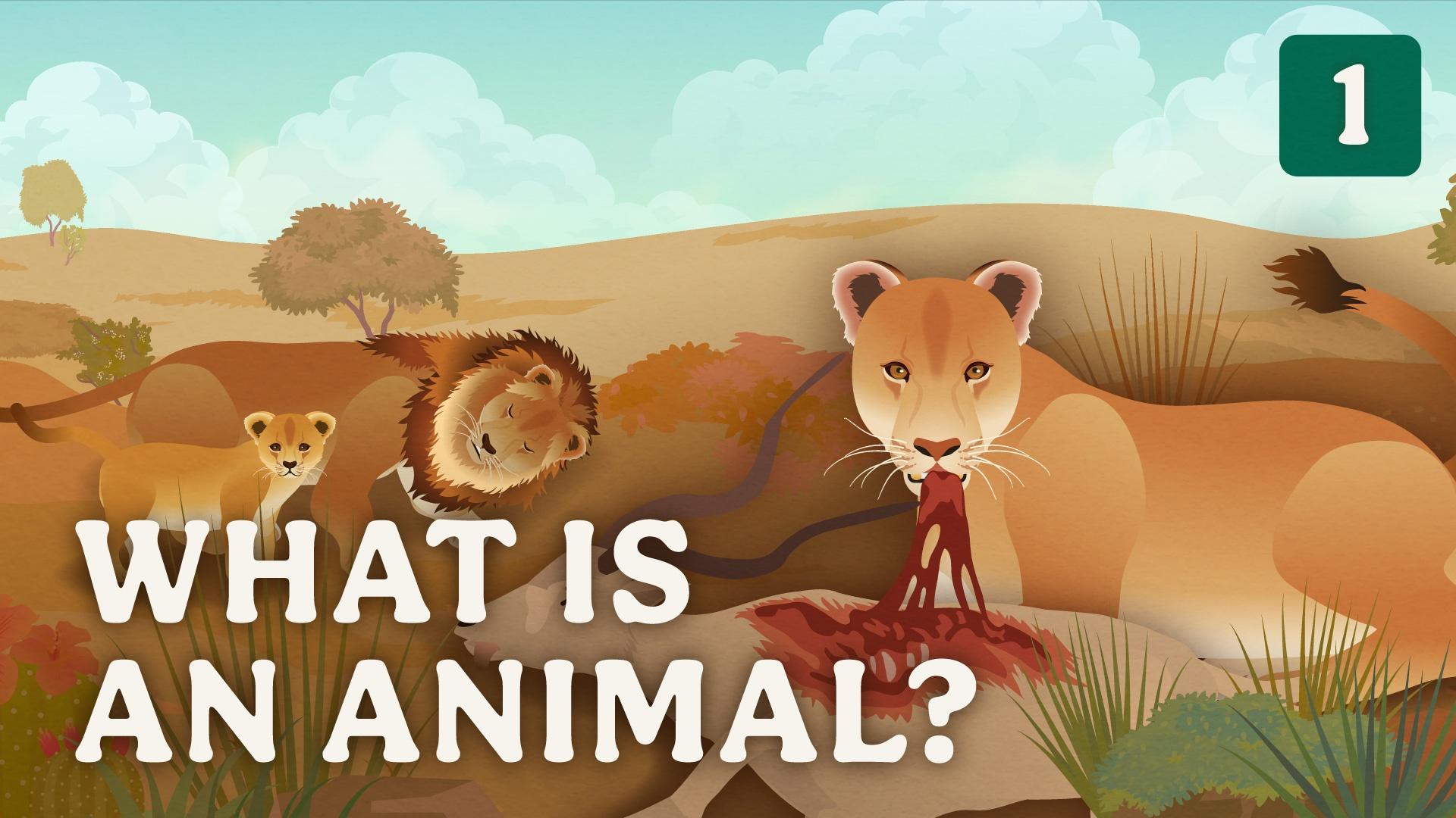 Crash Course Zoology | What is an Animal? | Episode 1 | PBS