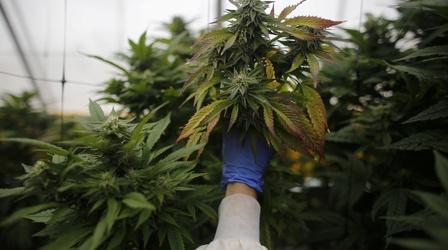 Video thumbnail: PBS NewsHour How upcoming state laws could make it to Washington next